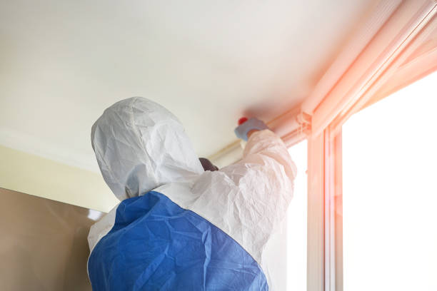 Mold Remediation for Vacation Homes in Poughkeepsie, NY